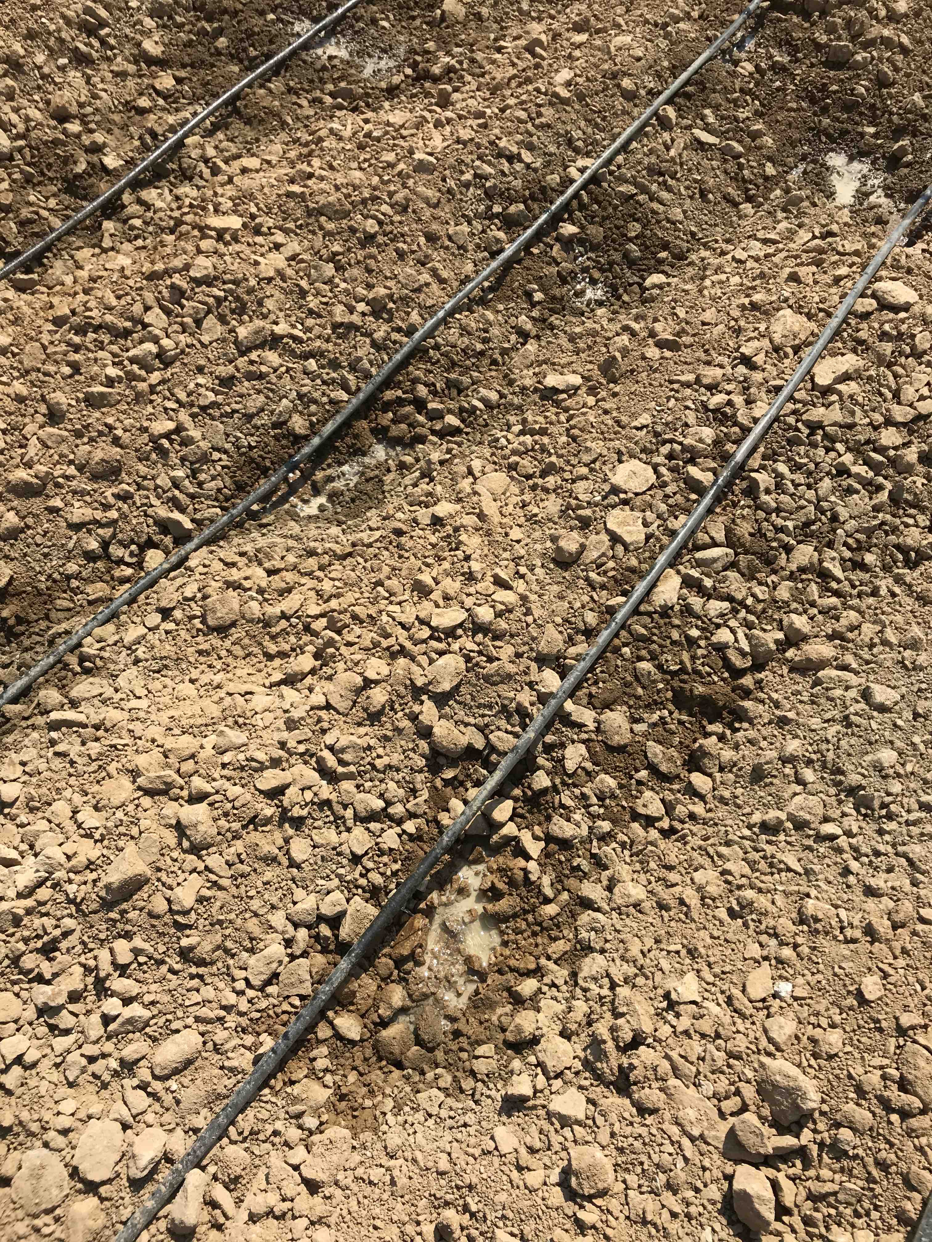 Detalle de líneas emisoras Ore-Max sobre mineral triturado